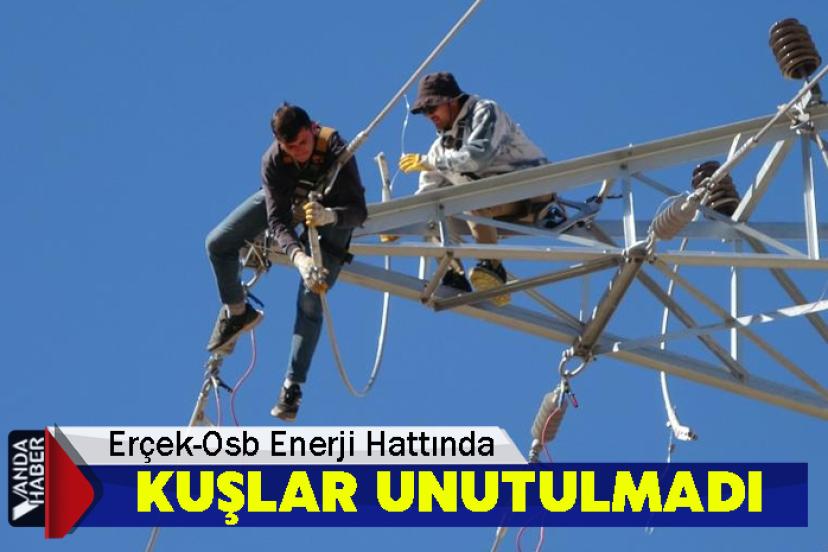 Erçek-Osb Enerji Hattında Kuşlar Unutulmadı