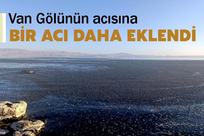 Van Gölünün acısına bir acı daha eklendi
