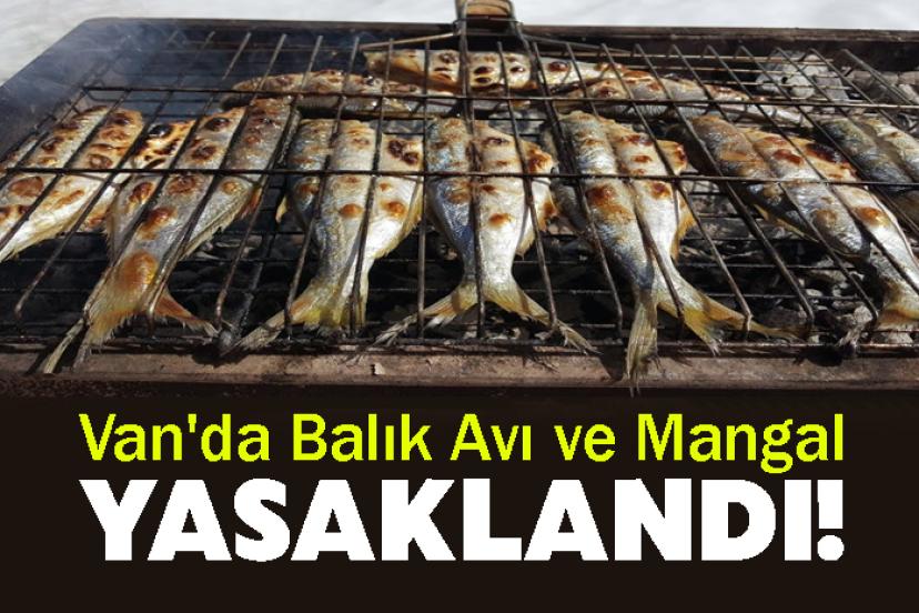 Van'da Balık Avı ve Mangal Yasaklandı!
