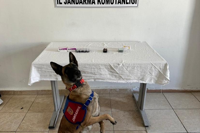 Van’da İran uyruklu şahsın üzerinden 380 adet sentetik hap ele geçirildi
