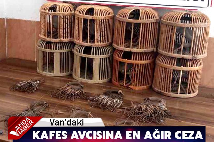 Van’daki Kafes Avcısına En Ağır Ceza