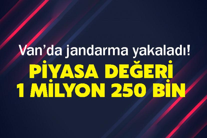 Van’da jandarma yakaladı! Piyasa değeri 1 milyon 250 bin
