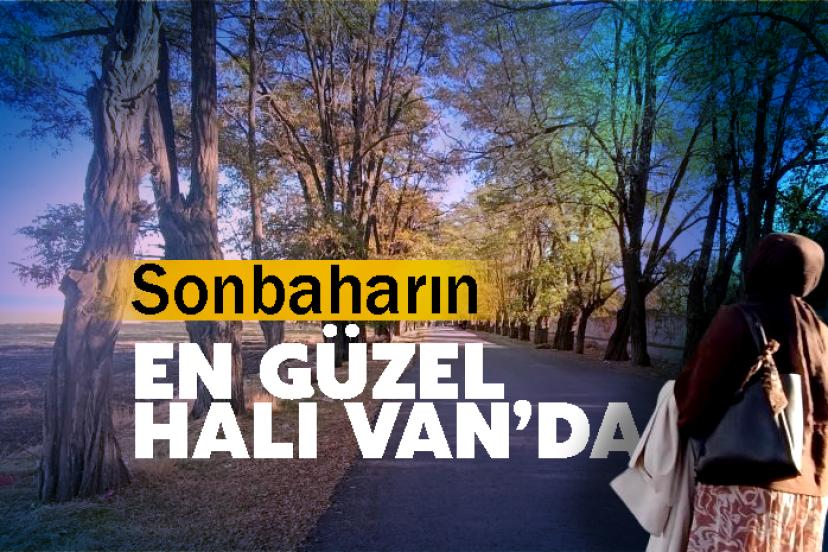 Van’da sonbahar renk cümbüşü