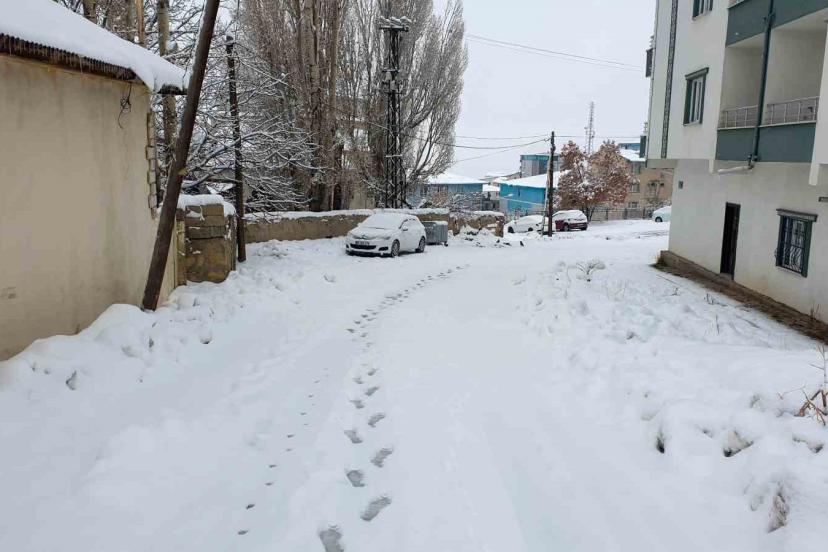 Başkale’de kar etkili oldu
