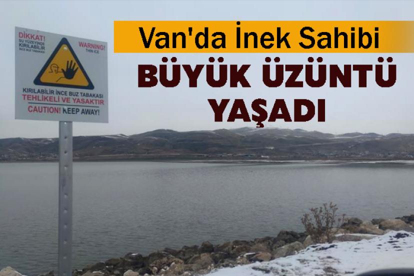 Sıhke Göleti’ne giren inek telef oldu