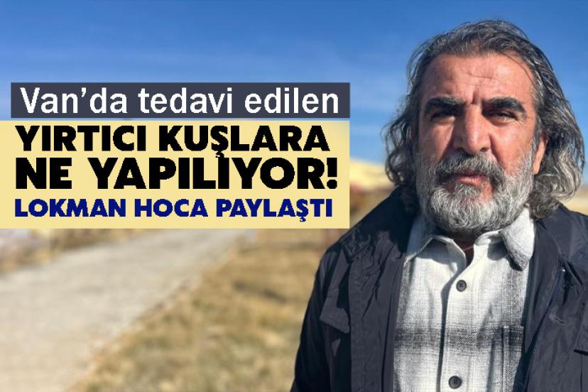 Van’da tedavi edilen yırtıcı kuşlara ne yapılıyor!
