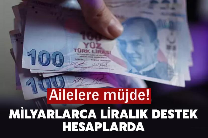 Ailelere müjde! Milyarlarca liralık destek hesaplarda