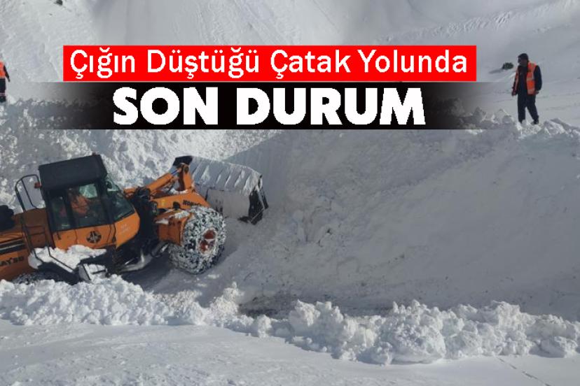 Çığın Düştüğü Çatak Yolunda Son Durum