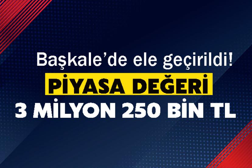 Başkale’de ele geçirildi! Piyasa değeri 3 milyon 250 bin TL