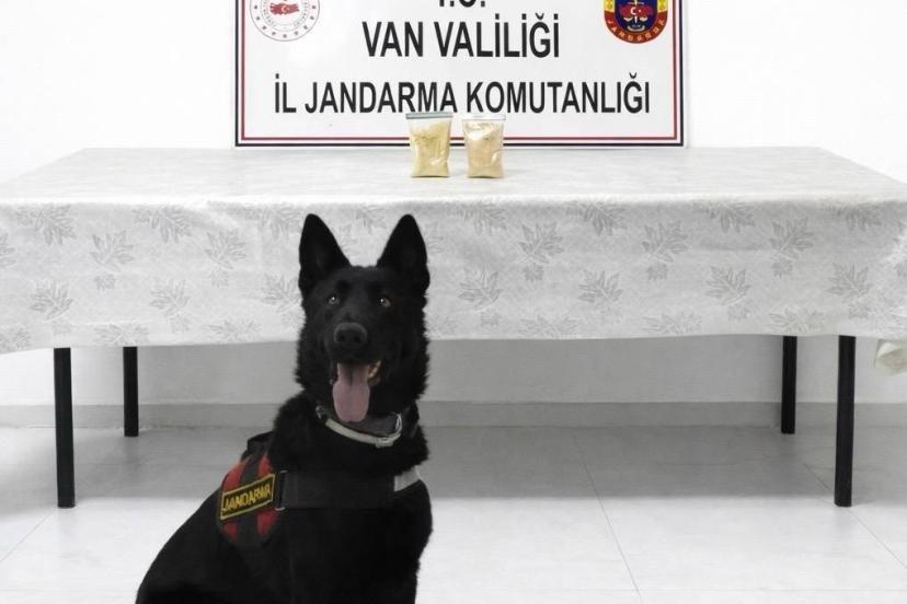 İranlı şahıs üzerinde 510 gram eroin ele geçirildi.