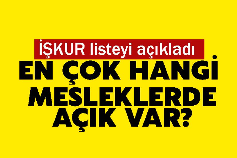 İŞKUR listeyi açıkladı: En çok hangi mesleklerde açık var?