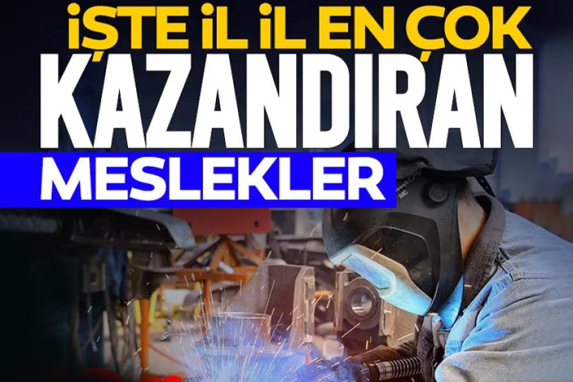 İşte İl İl En Çok Kazandıran Meslekler! Van’da Hangisi Zirvede?