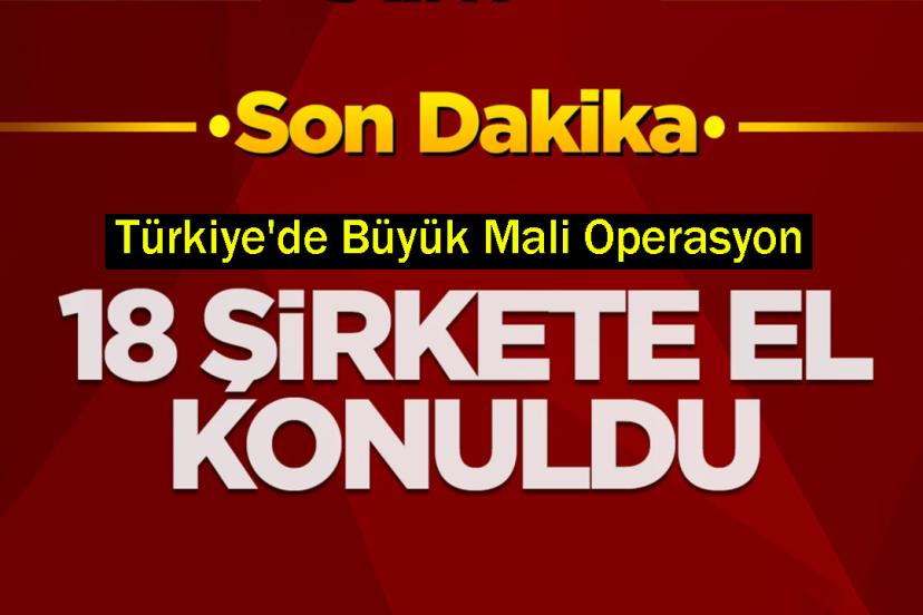 Türkiye'de Büyük Mali Operasyon: 18 Şirkete El Konuldu