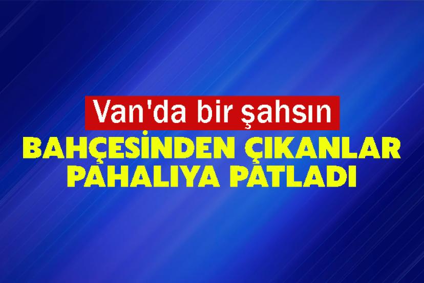 Van'da bir şahsın Bahçesinden Çıkanlar Pahalıya Patladı