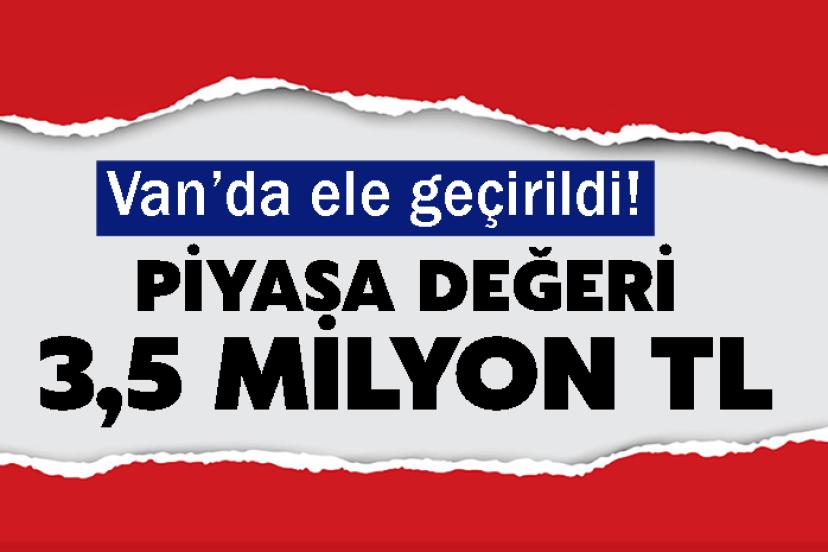 Van’da ele geçirildi! Piyasa değeri 3,5 milyon TL