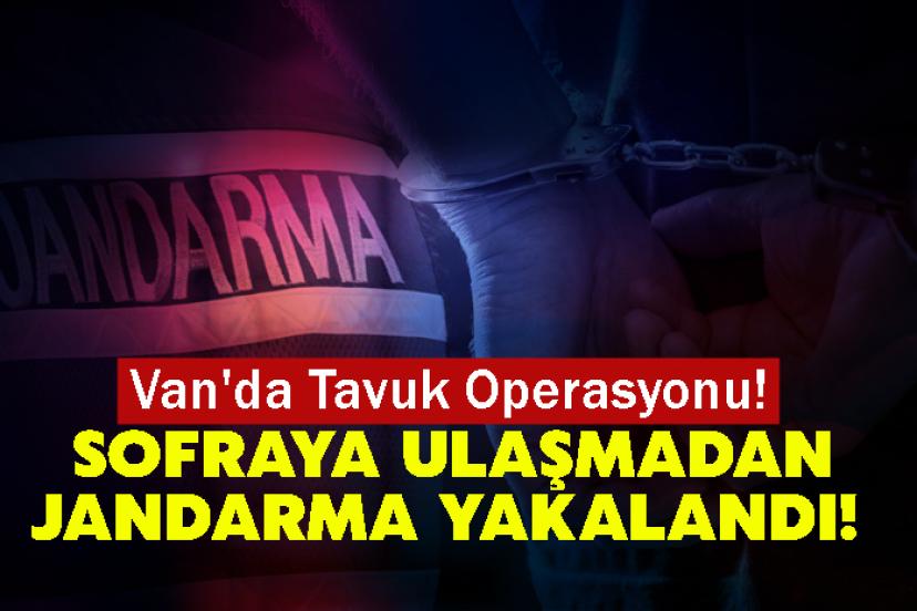 Van'da Tavuk Operasyonu! Sofraya Ulaşmadan Jandarma Yakalandı!