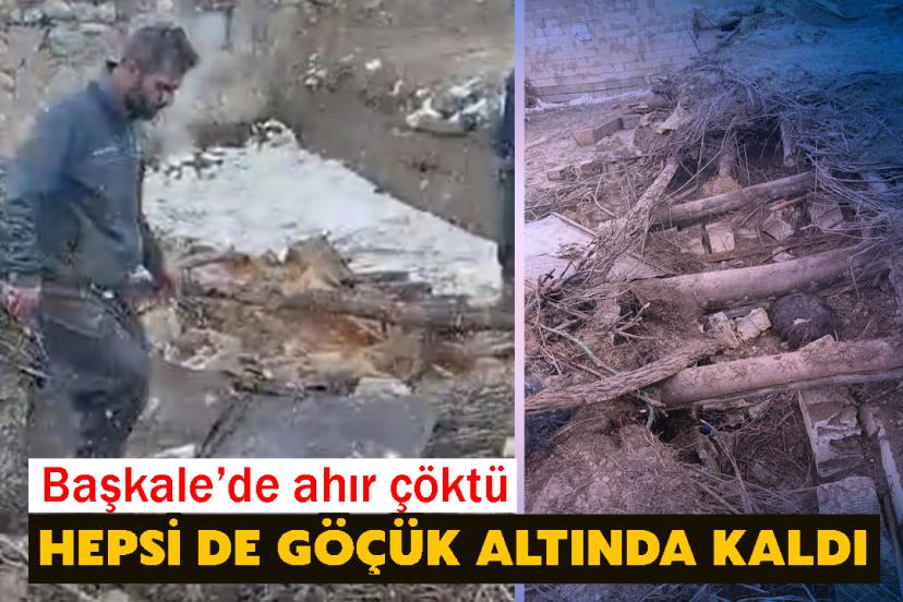 Başkale’de ahır çöktü: Hepsi de göçük altında kaldı