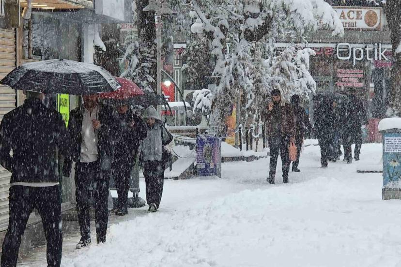 Van’da Mart sürprizi: Bahar beklerken kar kapıya dayandı