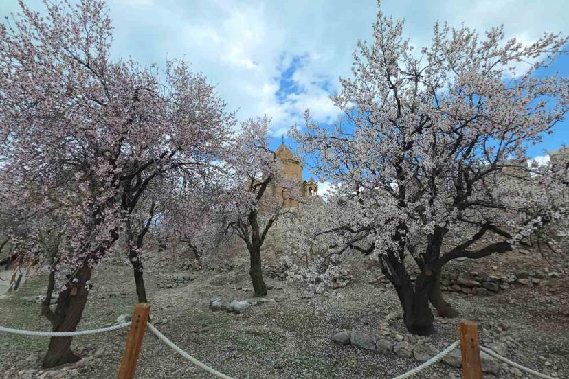 Akdamar Adası’nda renk cümbüşü