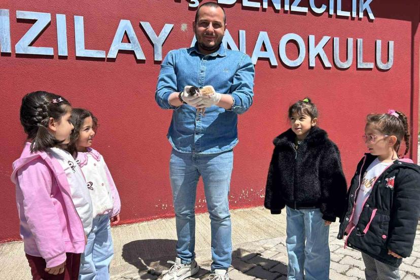 Anaokulunun misafiri ‘Fındık’ 6 yavru dünyaya getirdi