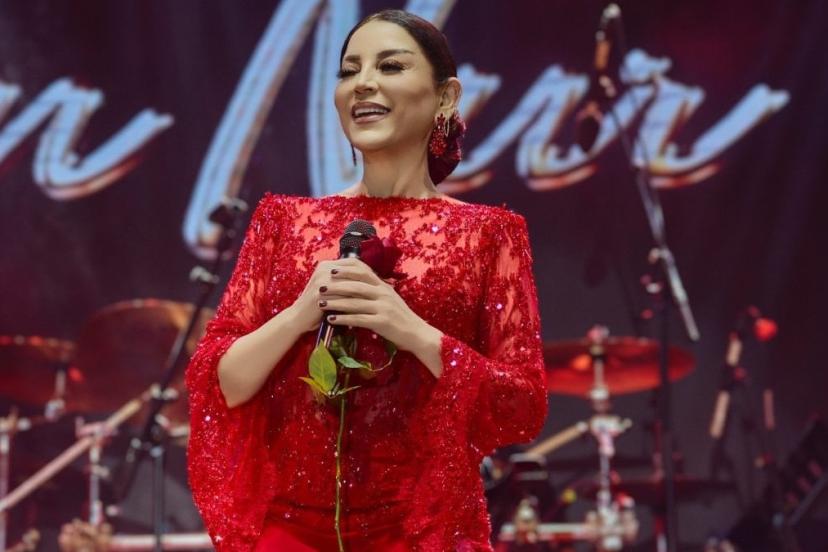 Aşkın Nur Yengi'nin yatırımları