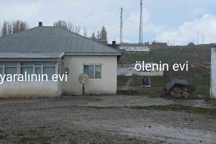 Köpek dehşetinin görüntüleri ortaya çıktı