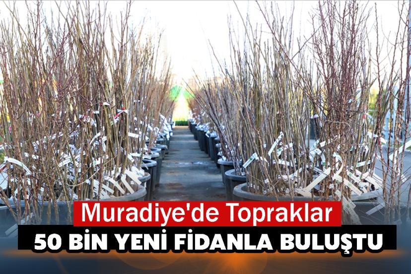 Muradiye'de Topraklar 50 Bin Yeni Fidanla Buluştu