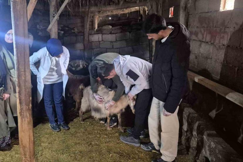 Özalp’te çiftçilere yönelik eğitim seferberliği başlatıldı