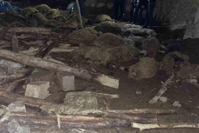 Van’da ahır çöktü: 56 küçükbaş hayvan telef oldu