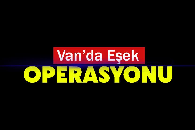 Van’da kayalıklarda mahsur kalan eşek kurtarıldı