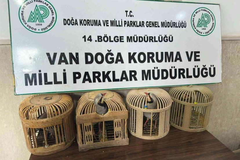 Van’da keklik avlayan şahsa 86 bin 278 lira para cezası