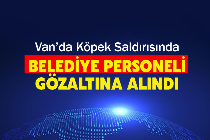Van’da Köpek Saldırısı Soruşturması: İlk Gözaltı Geldi