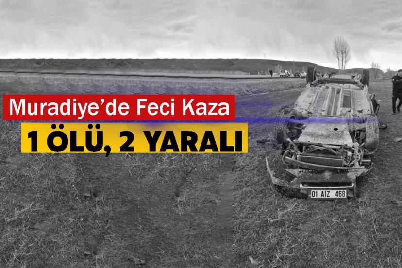 Van’da Muradiye-Çaldıran yolunda kaza: 1 ölü, 2 yaralı