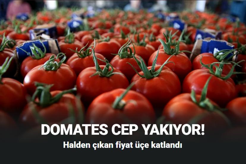 Domates cep yakıyor! Halden çıkan fiyat üçe katlandı