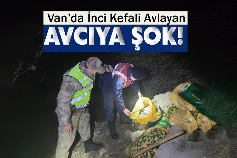 İnci Kefali Avlayan Avcıya Şok!