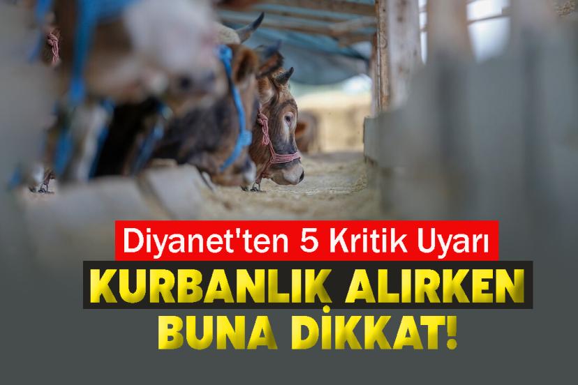 Kurbanlık Alırken Buna Dikkat! Diyanet'ten 5 Kritik Uyarı