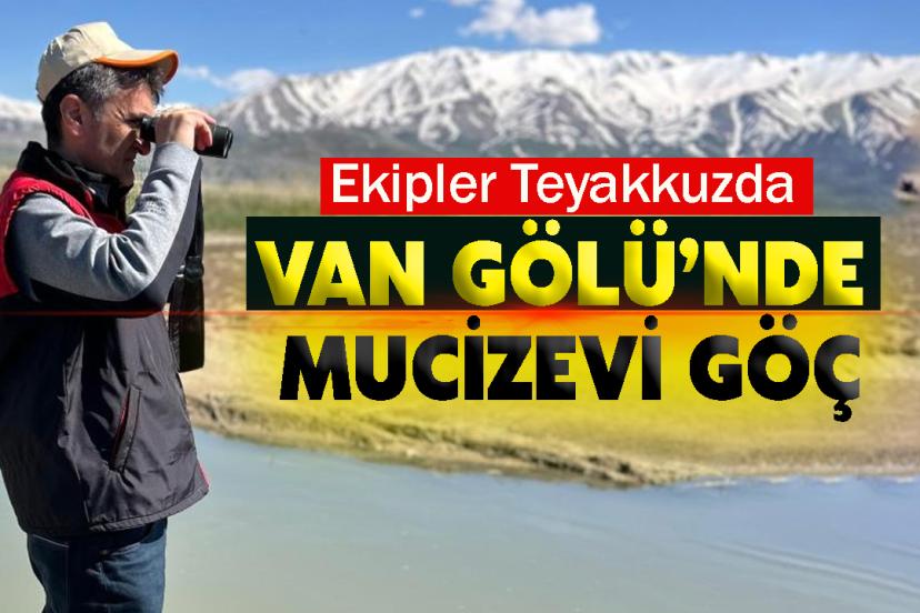 Van Gölü’nde Mucizevi Göç: Ekipler Teyakkuzda
