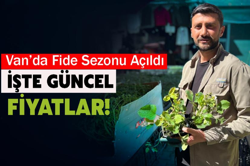 Van’da bahar hareketliliği: Fide satışları başladı