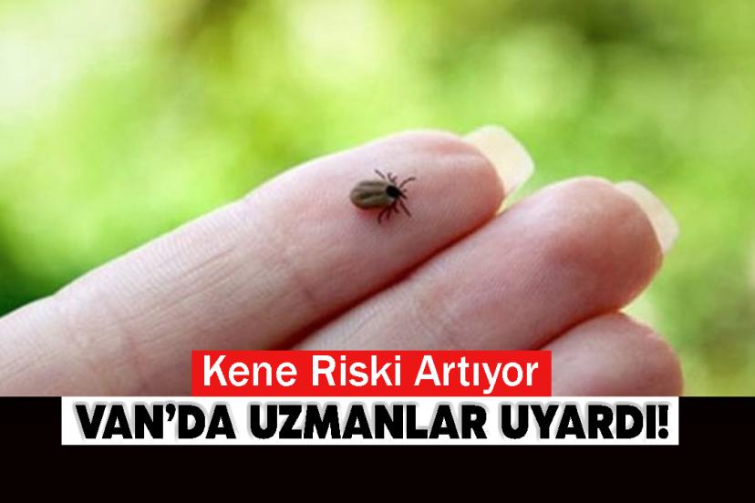 Uzmanlardan kene uyarısı: "Bilinçsiz müdahale riski artırıyor"