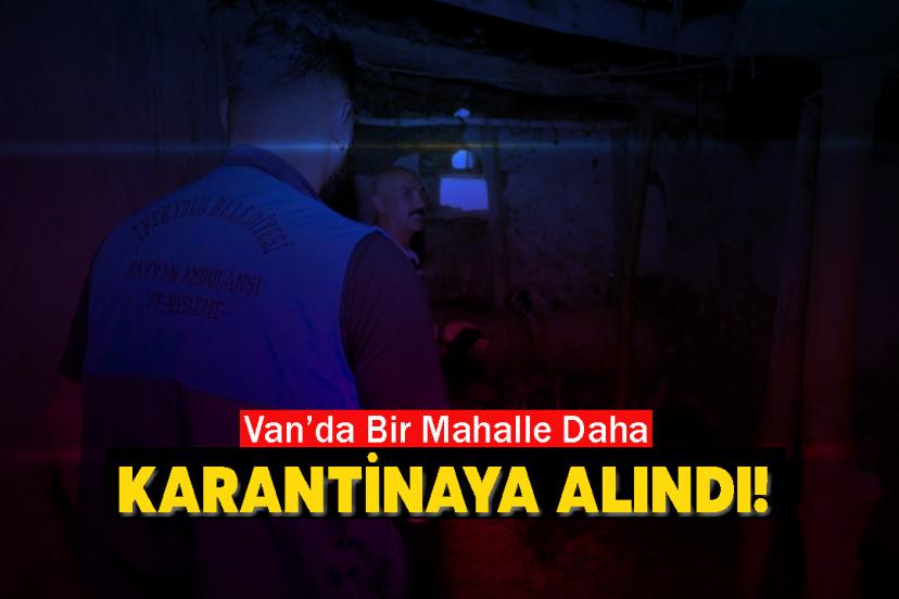 Van’da Bir Kuduz Alarmı Daha