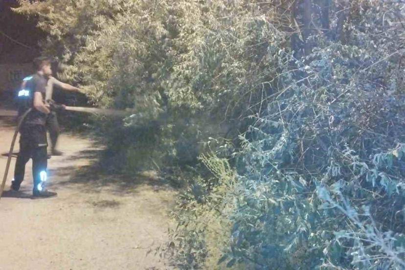 Van’da bahçe yangını korkuttu