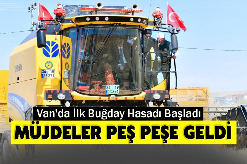 Van'da İlk Buğday Hasadı Başladı
