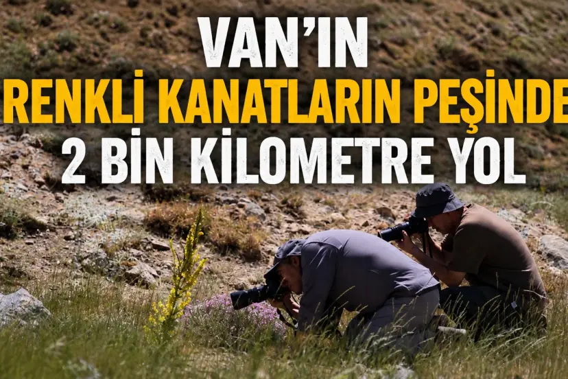 Van’ın Renkli Kanatların peşinde 2 bin kilometre yol yaptılar