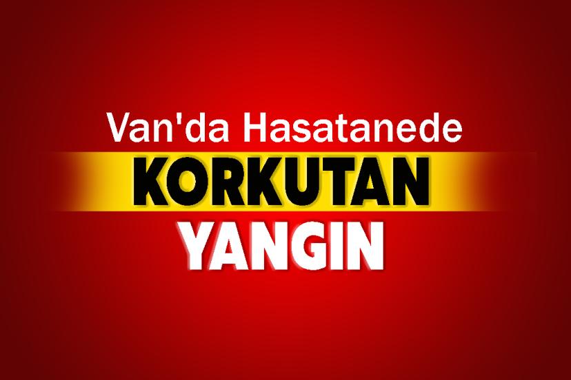 Van'da Hasatanede Korkutan Yangın