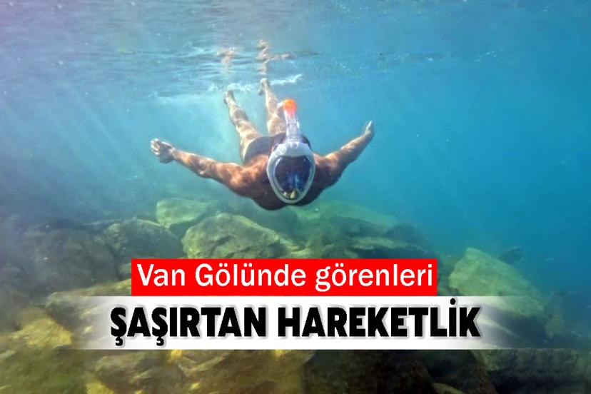 Van Gölü kıyılarında görenleri şaşırtan hareketlik