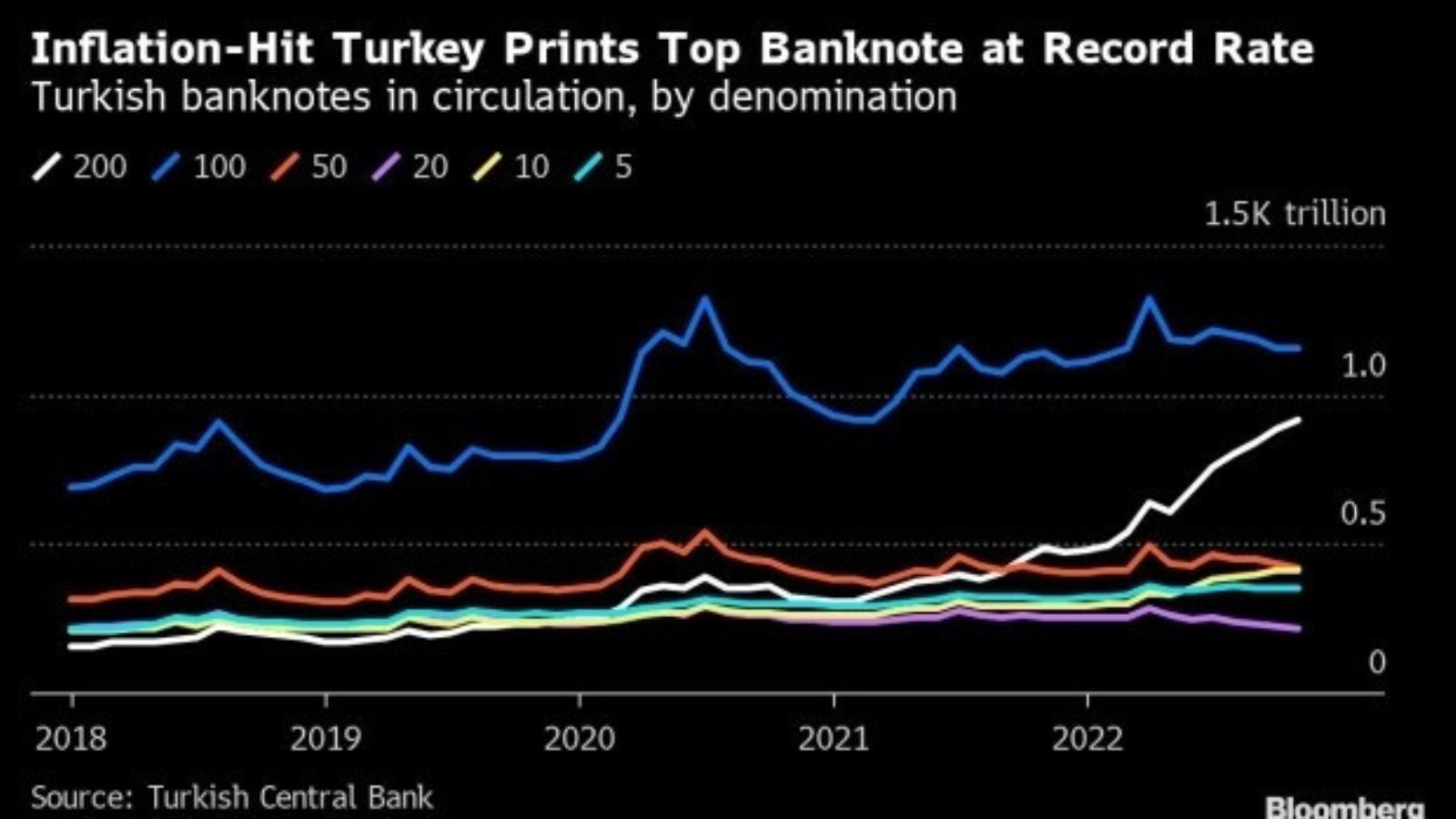 Kasım ayında 200 TL basımı rekor kırdı