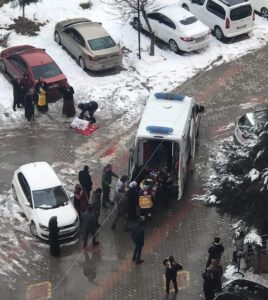 Van’da köpekler dehşeti yaşattı