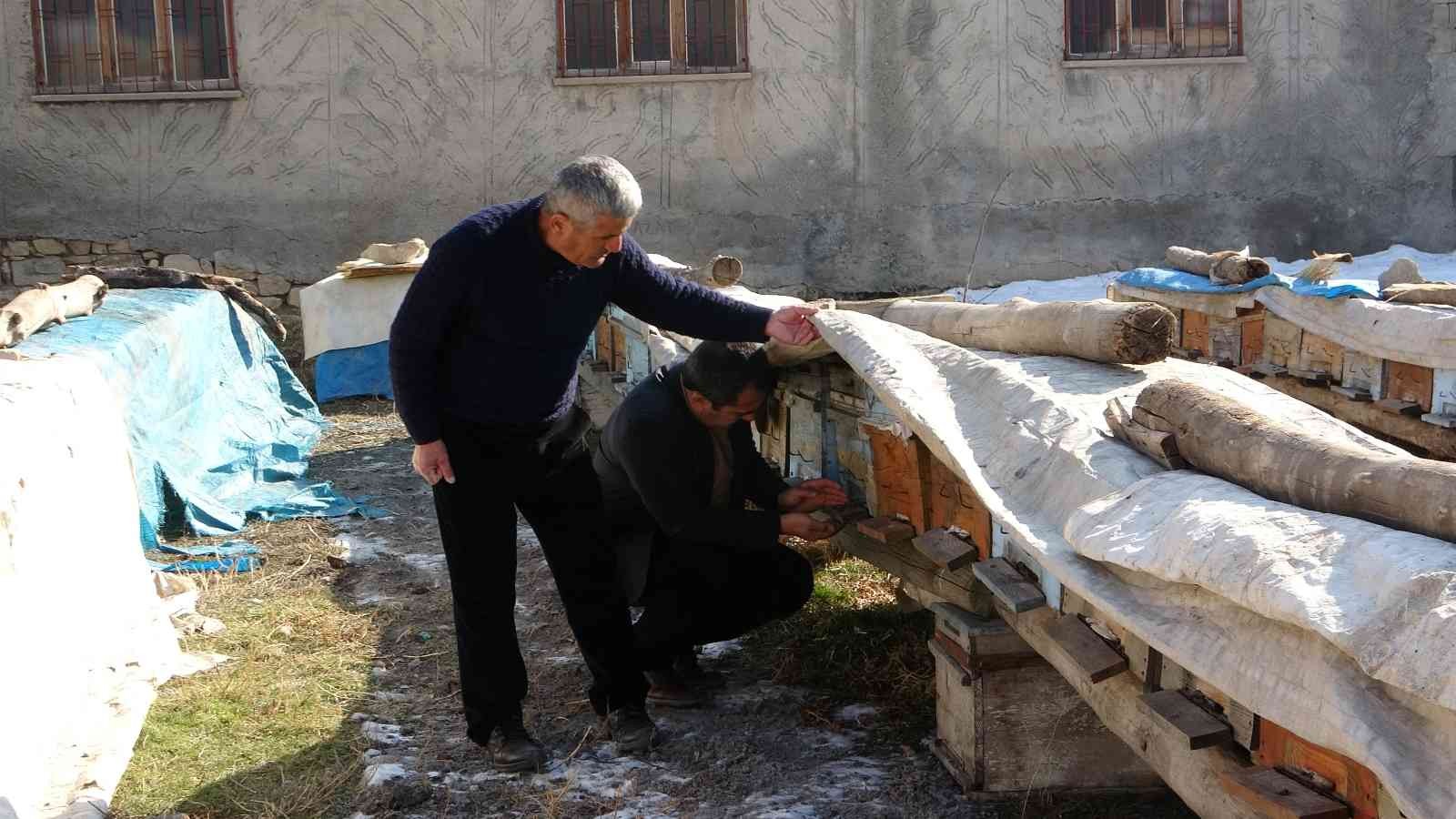 Yalancı bahar arıları vurdu