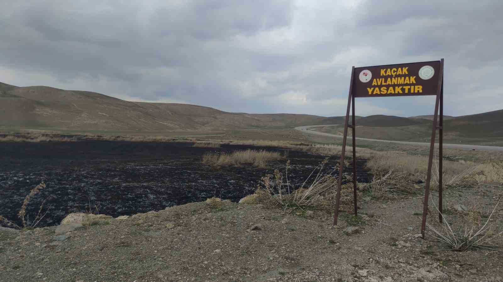 Birçok kuş türüne ev sahipliği yapan Kazlıgöl sazlığı yandı