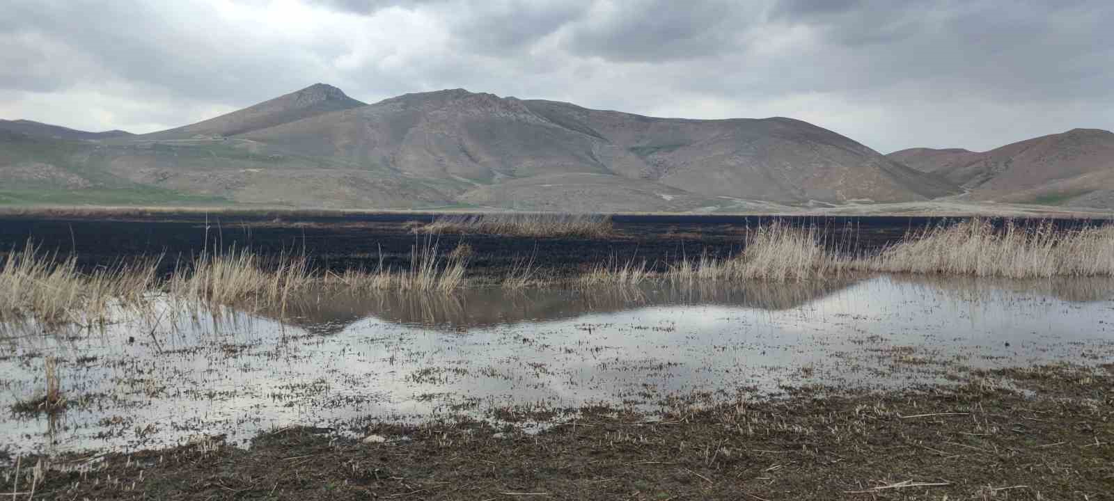 Birçok kuş türüne ev sahipliği yapan Kazlıgöl sazlığı yandı